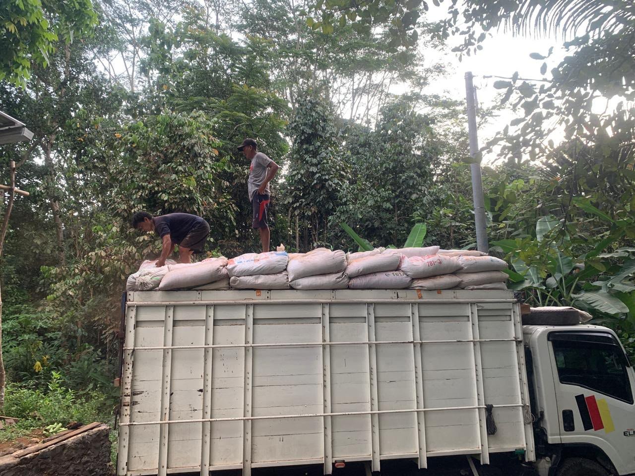 Cocopeat curah dimuat dari truk saat tiba di lokasi penjemuran