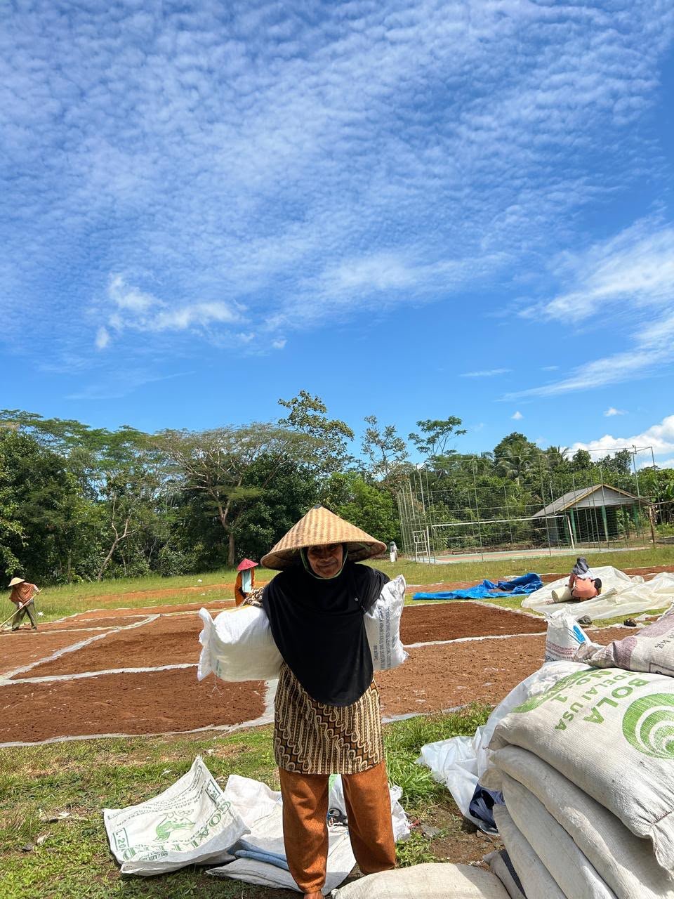 Pekerja memeriksa dan menghitung karung cocopeat di lahan jemur