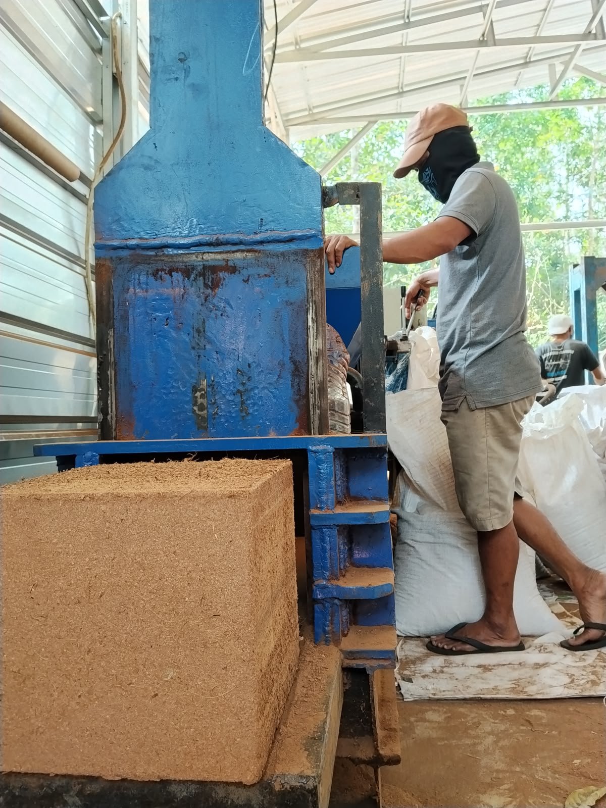 Proses pengepresan cocopeat menjadi blok dengan mesin cetak